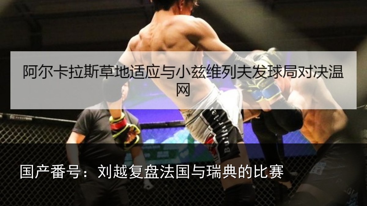 国产番号：刘越复盘法国与瑞典的比赛