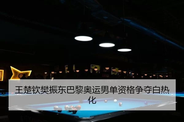 王楚钦樊振东巴黎奥运男单资格争夺白热化