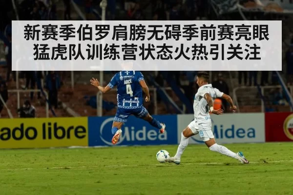 新赛季伯罗肩膀无碍季前赛亮眼 猛虎队训练营状态火热引关注